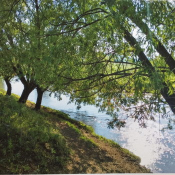 Подведены Итоги конкурса детского рисунка и фотоискусства “Мой край родимый! Любовь моя